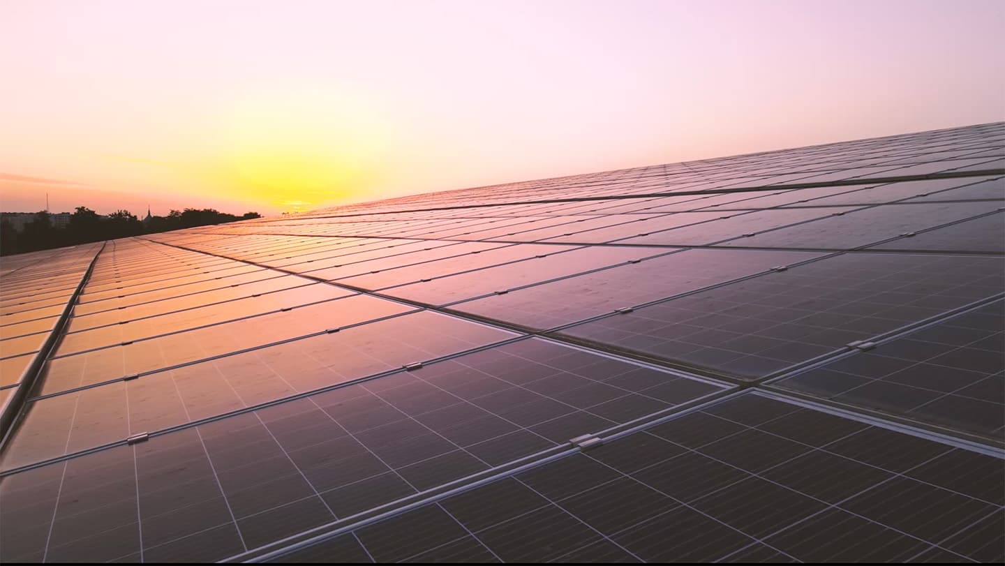 Utility scale photovoltaic array at golden hour